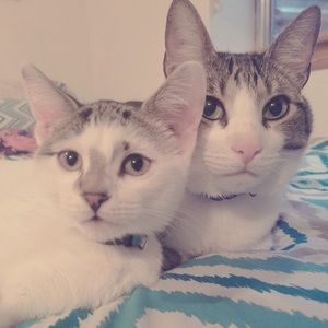 Meet your Posher, Jayden